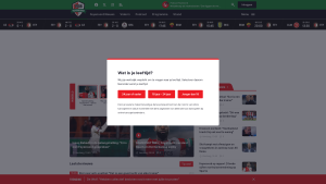 Latest feyenoordpings.nl screenshot